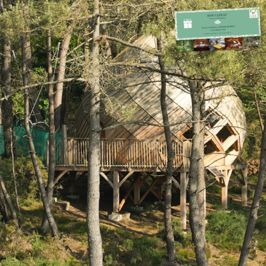 Cabane perchée la Fleur du bout du monde