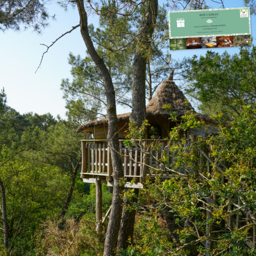Cabane perchée Rofo