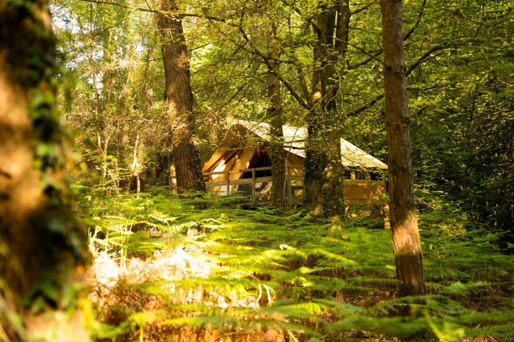 Le Pertuis du Rofo la Salamandre