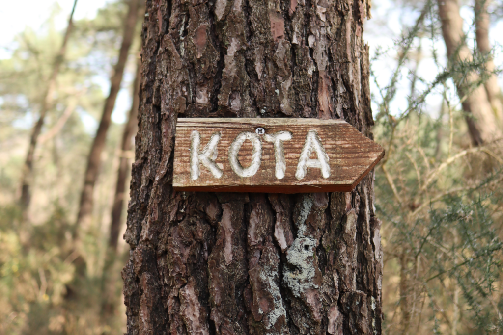 hebergement insolite bretagne photo – cabane kota (6)