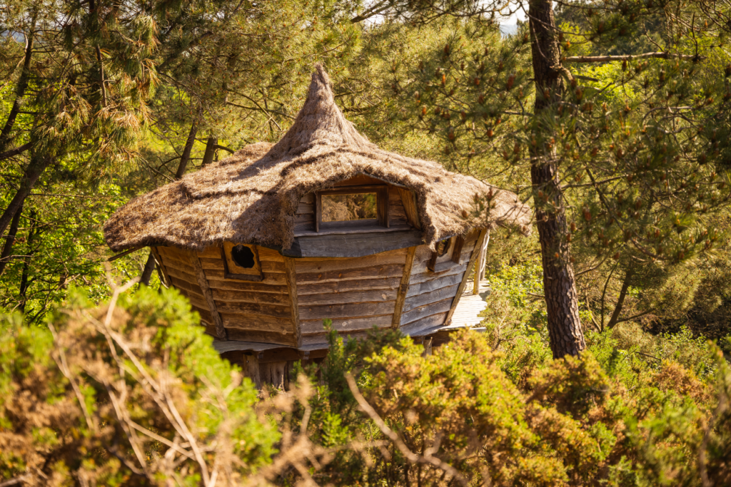 hebergement insolite bretagne photo – cabane perchée la vilaine (1)