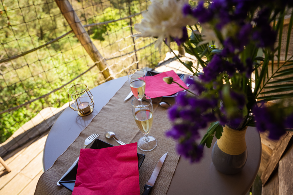 hebergement insolite bretagne photo – cabane perchée la vilaine (3)