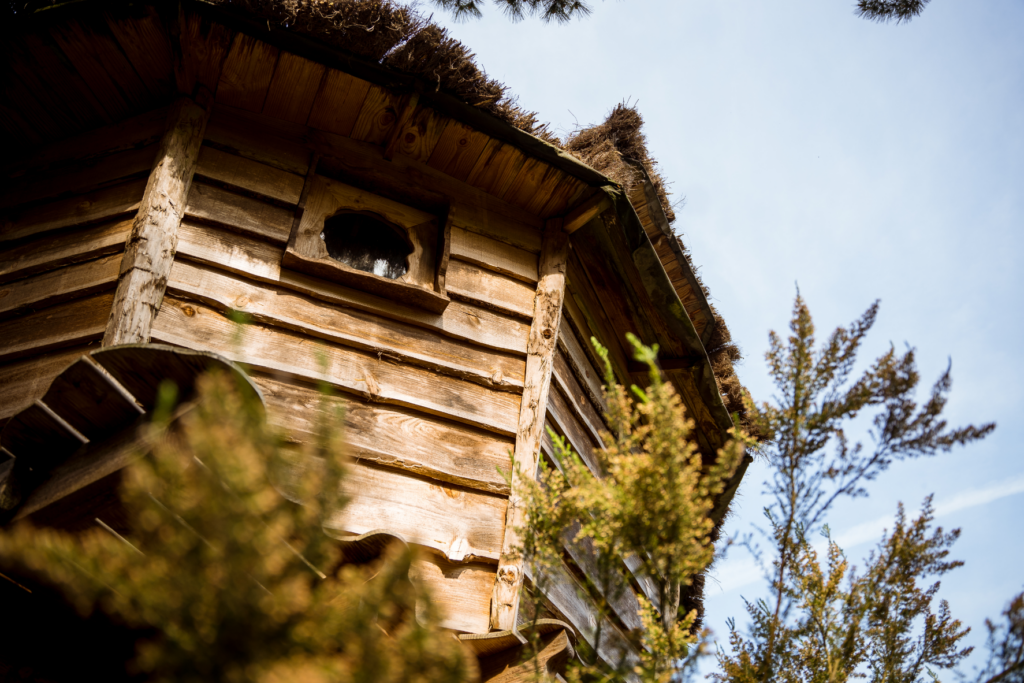 hebergement insolite bretagne photo – cabane perchée la vilaine (6)