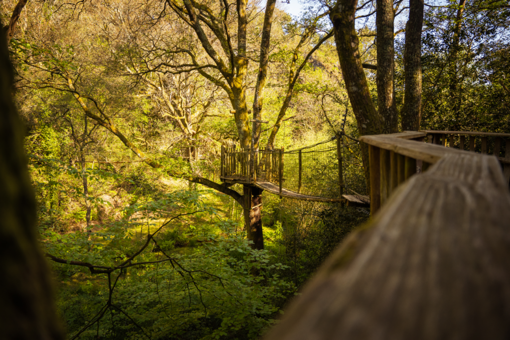 hebergement insolite bretagne photo – cabane perchée le foleux (2)
