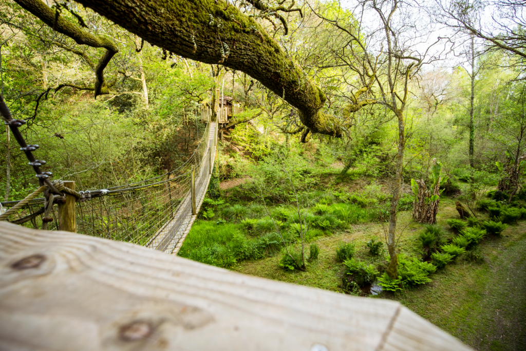 hebergement insolite bretagne photo – cabane perchée le foleux (4)