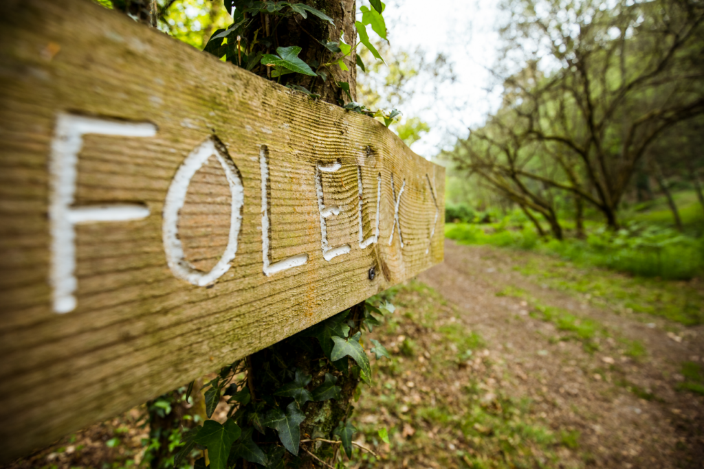 hebergement insolite bretagne photo – cabane perchée le foleux (7)