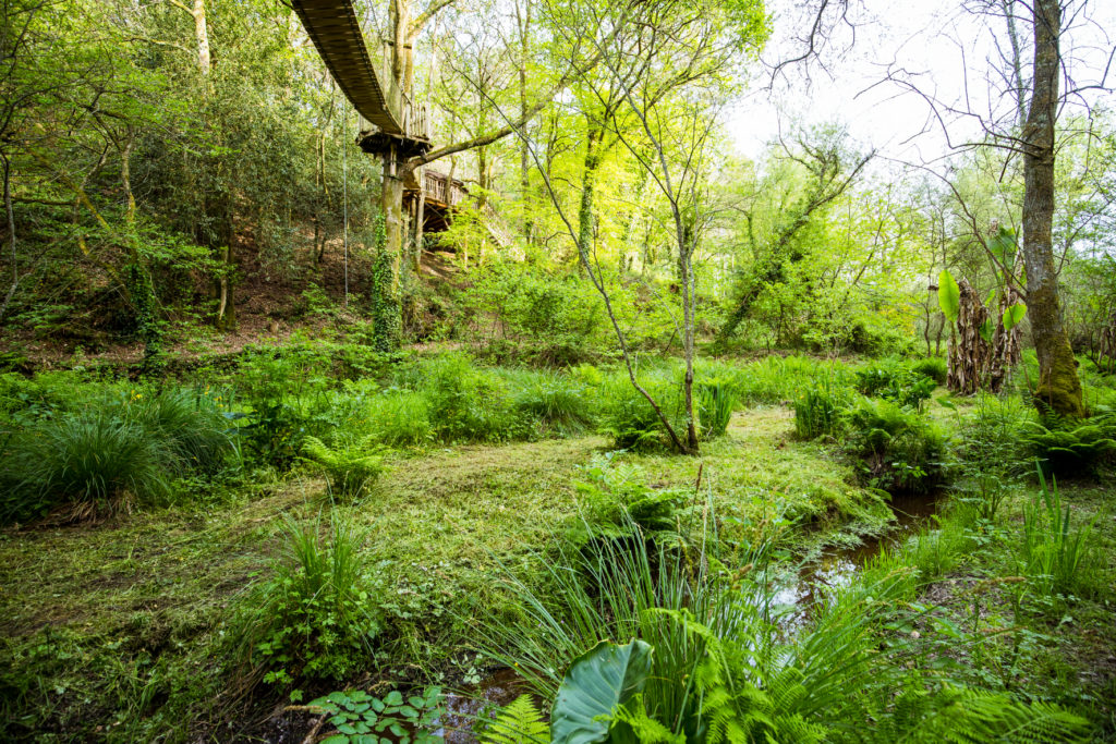 hebergement insolite bretagne photo – cabane perchée le foleux (8)