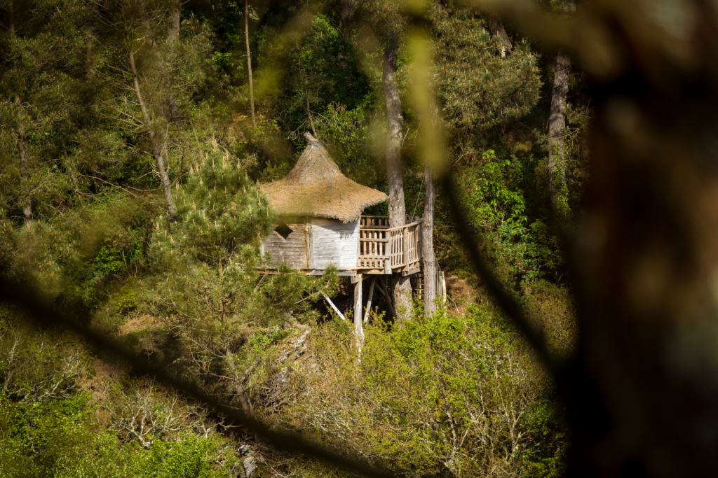 hebergement insolite bretagne photo – cabane perchée le rofo (1)