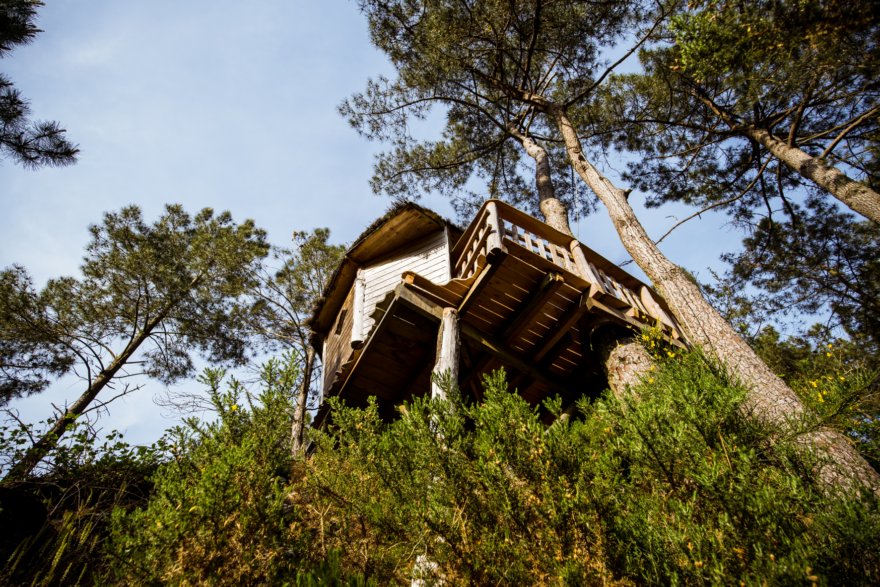 hebergement insolite bretagne photo – cabane perchée le rofo (5)
