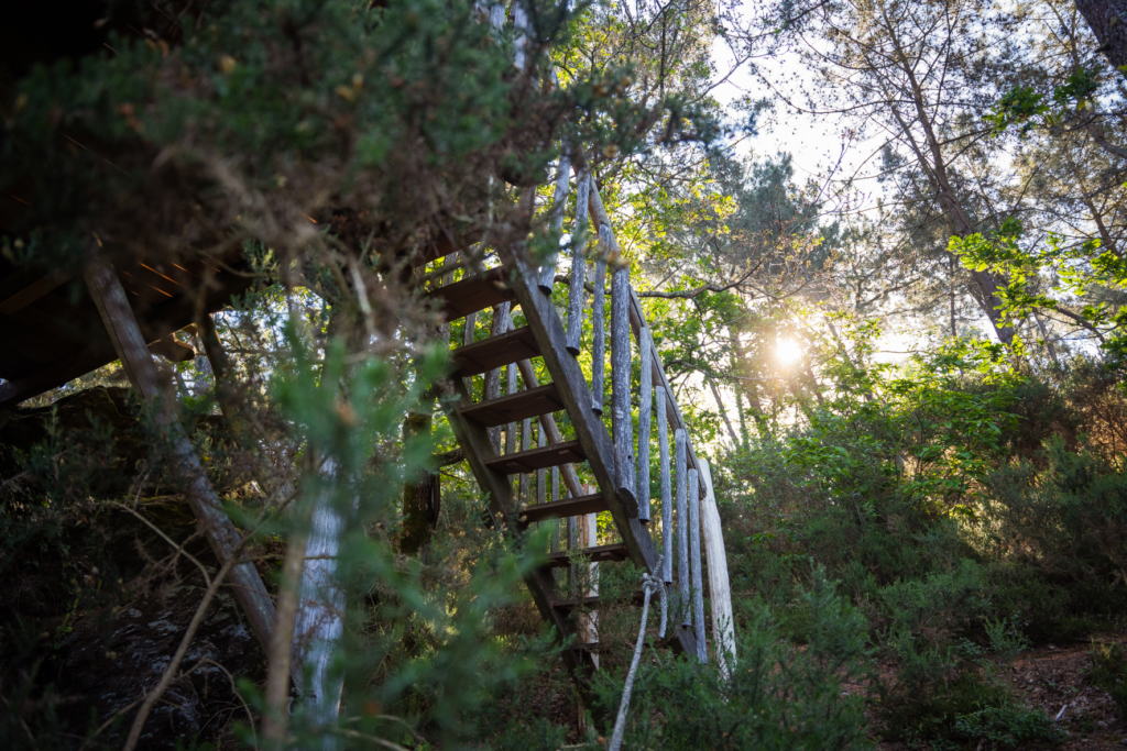 hebergement insolite bretagne photo – cabane perchée le rofo (6)