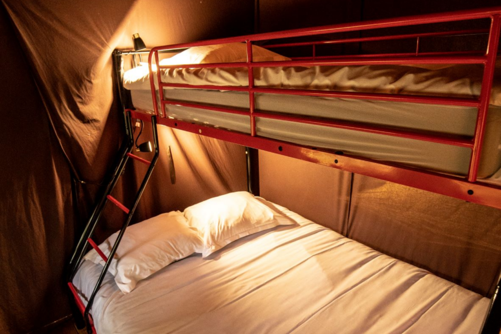 hebergement insolite bretagne photo – lodge salamandre (5)