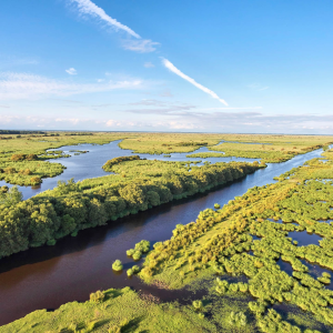 ExtensionPhotoshop_Image (13)