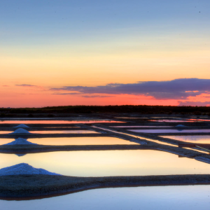 ExtensionPhotoshop_Image (15)