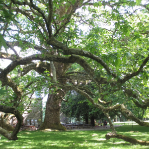 ExtensionPhotoshop_Image (7)