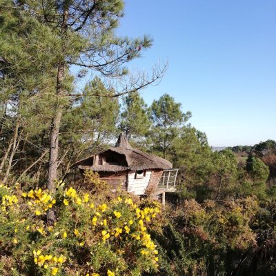 Cabane perchée La Vilaine ou cabane perchée Les Chouettes