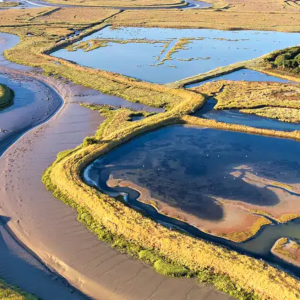 Plan de travail – 3