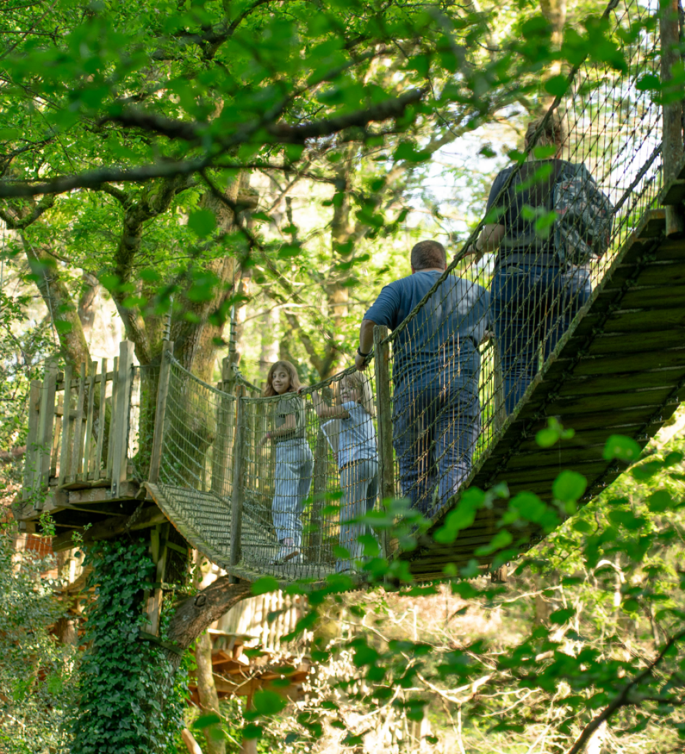 hebergement insolite bretagne photo - cabane perchée arbre – 10