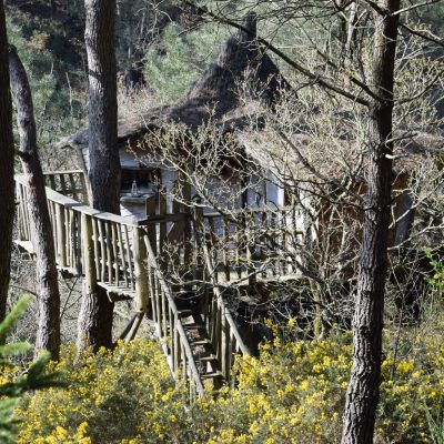Cabane perchée Rofo